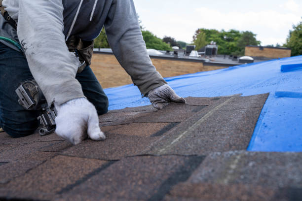 Gutter Replacement in Sylvania, GA
