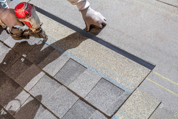 Best Asphalt Shingle Roofing  in Sylvania, GA